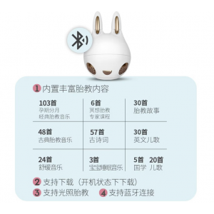 Bluetooth Fetal Education Device‌